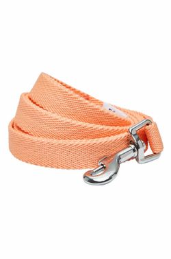 Dogs & Cats & Co. Classic Solid Color Polyester Dog Leash, Peach, Medium: 5-ft long, 5/8-in wide