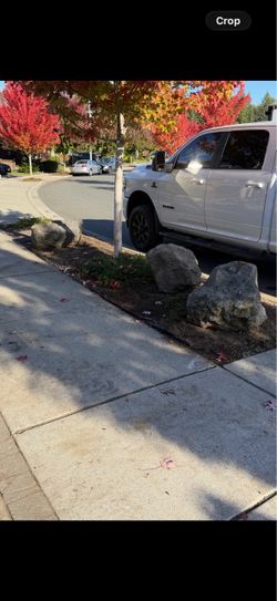 Landscape rocks