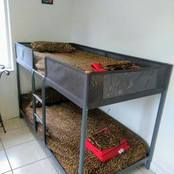 Renta Lo Más Barato De Miami