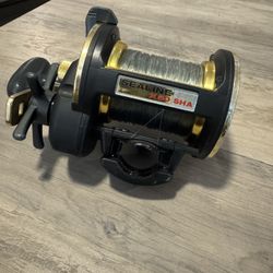 Murrieta 80$ Daiwa Sealine 50 Salt Water Fishing Reel. 