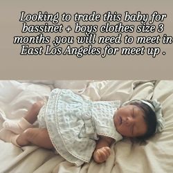 Reborn Baby Doll Trade