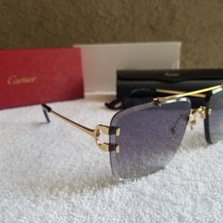 Cartier C Sticks Aviator Shades Sunglasses 