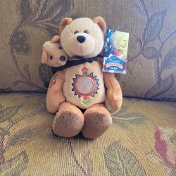 Limited Treasurers Coin Bear