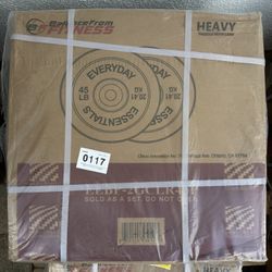 ⭐️Two 45lb Olympic Weight Plates 🆕❗️⭐️