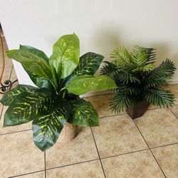 Fake Plants  2 For 50
