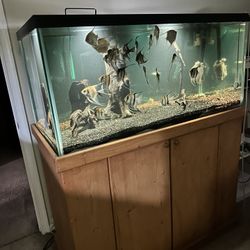 120 Gallon Fish Tank 