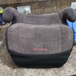 Toddler Booster Seat