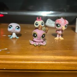Little Pet Shop
