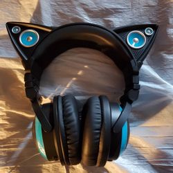 Cat Ear Headphones