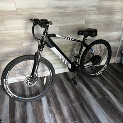 Electric Mtb