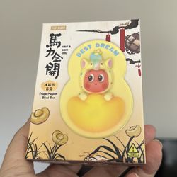 Authentic Popmart Fridge Magnet Blind Box