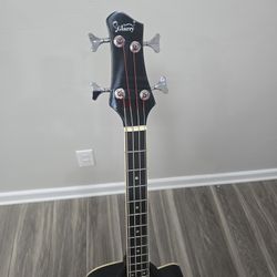 acoustic hollow body electric bass 