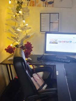 Desk (Chair Included)
