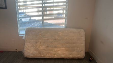 Twin Mattress (new)
