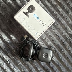 2 Blink Mini 2
