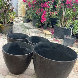 Flower Pot 