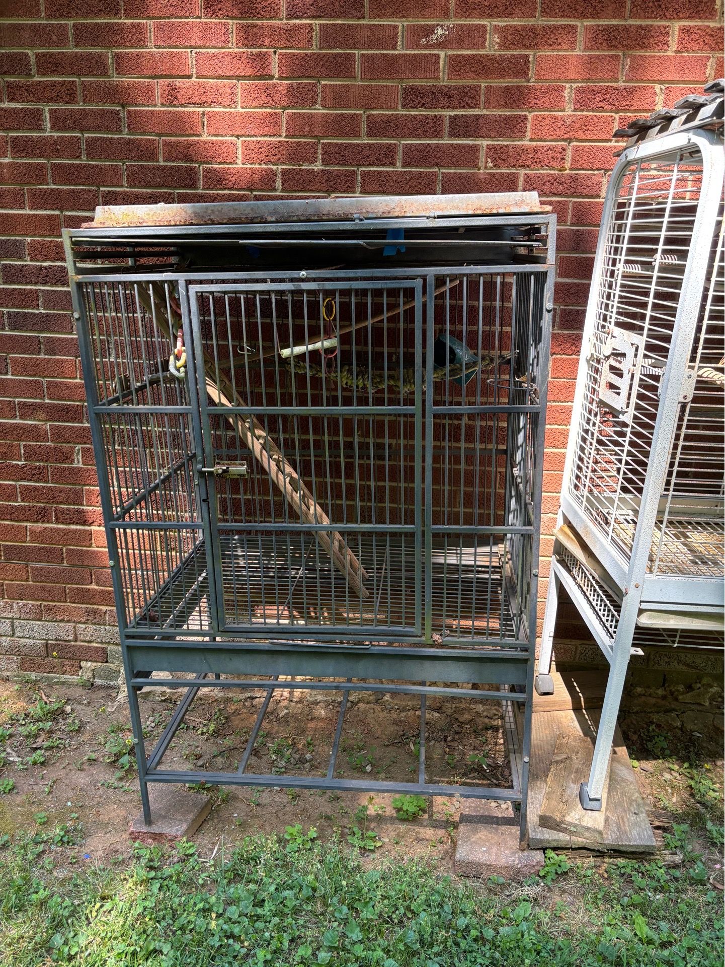 2Bird cages