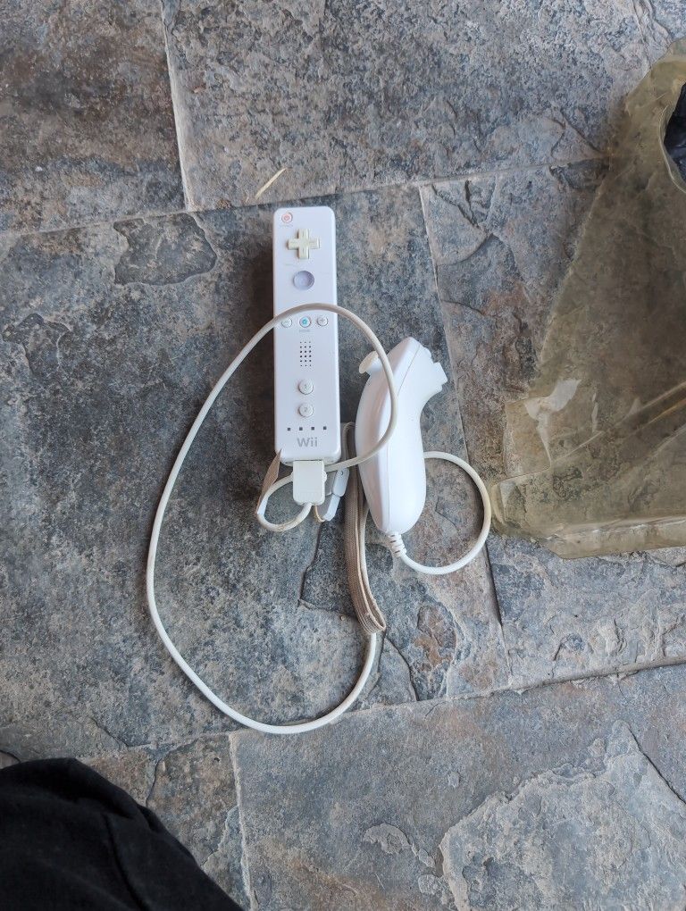 Nintendo Wii Controller