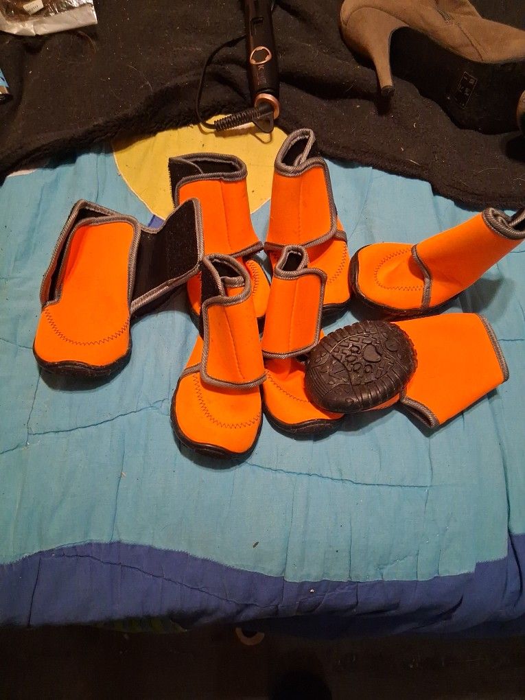 Dog Shoes ( Any Animal)