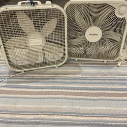 Working Fans 