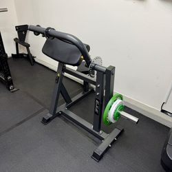 Plate Loaded Biceps Triceps Machine