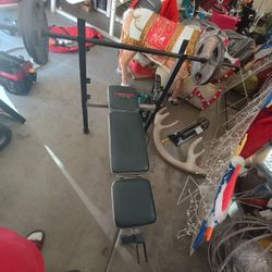 Weight Bench