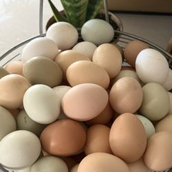Farm Fresh Eggs 
