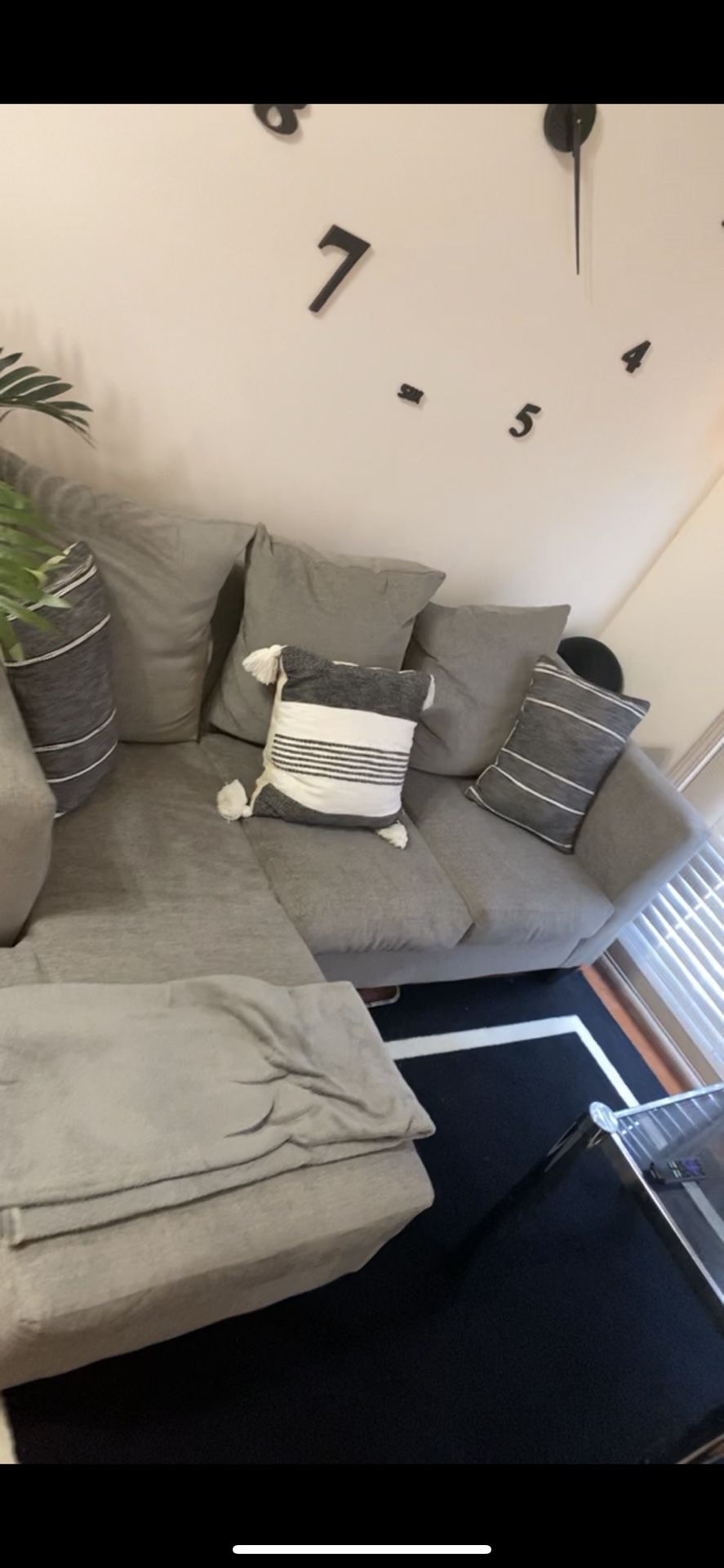 Grey Sectional Couch