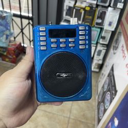 Radio Speaker
