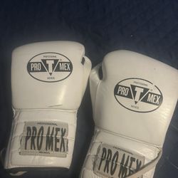 Pro Max boxing gloves