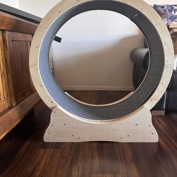 Cat Wheel 