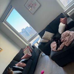 Couches Available 