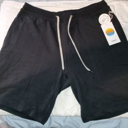Vuori Mens Shorts