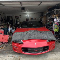 Windshield Seals 
