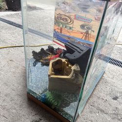 Fish Tank/turtle Tank