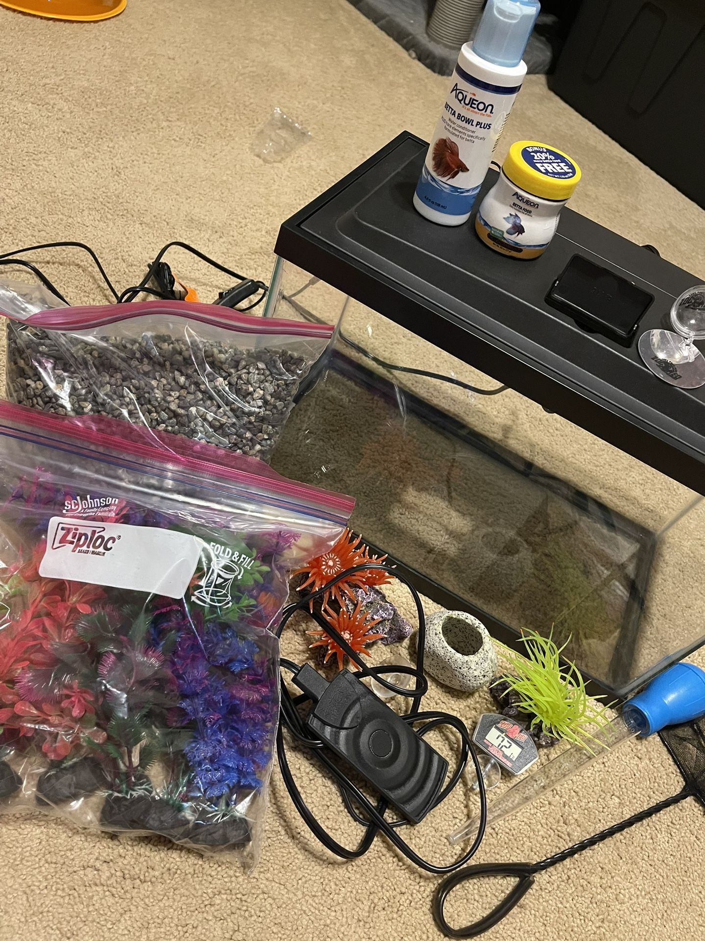 Fish Tank Set Up