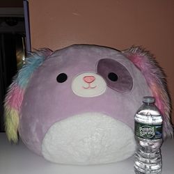 Squishmallows Plush Toys