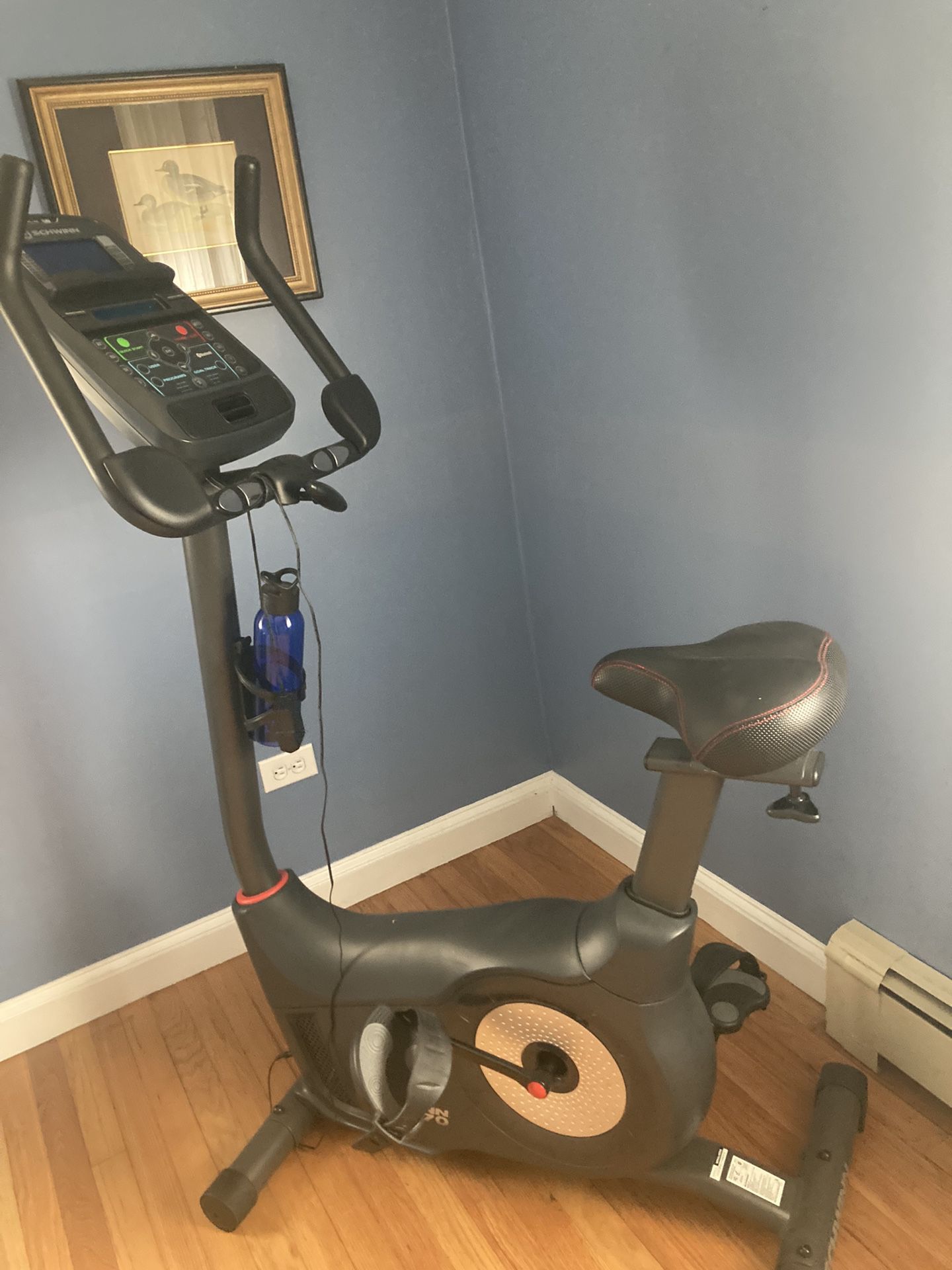 Schwinn Exercise Bike