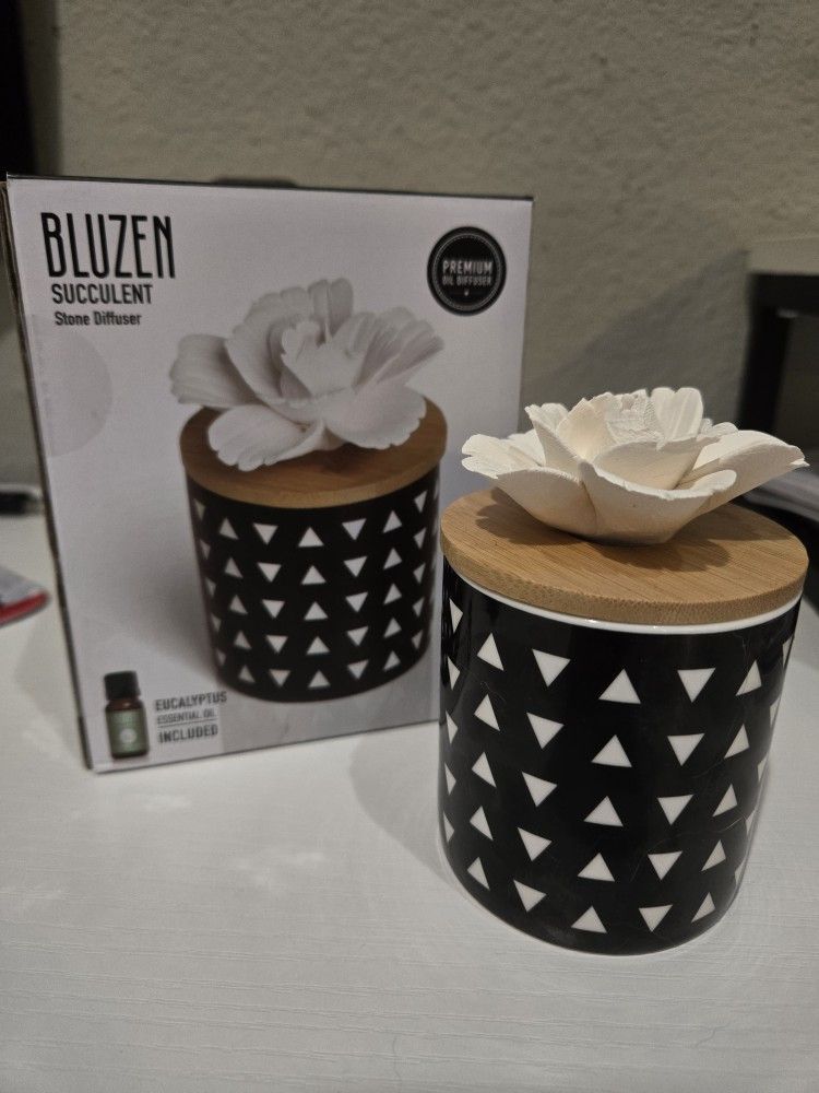 BLUZEN Original Cylinder Succulent and 5mL Eucalyptus Essential Oil