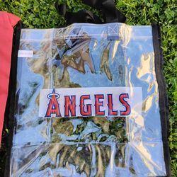 Anaheim Angels