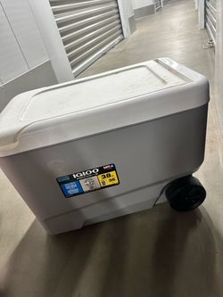 Cooler