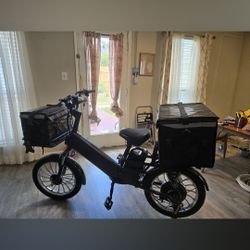  Unico  Electric Bike