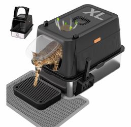 Cat Litter Box