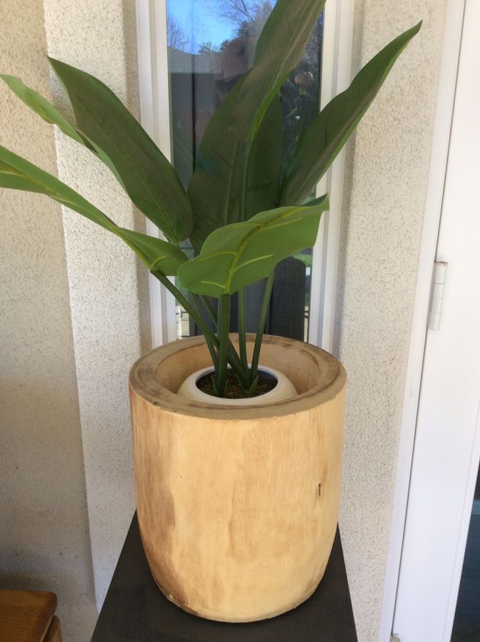 Fake plant and planter