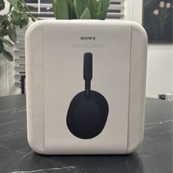 Sony Xm5 Headphones 