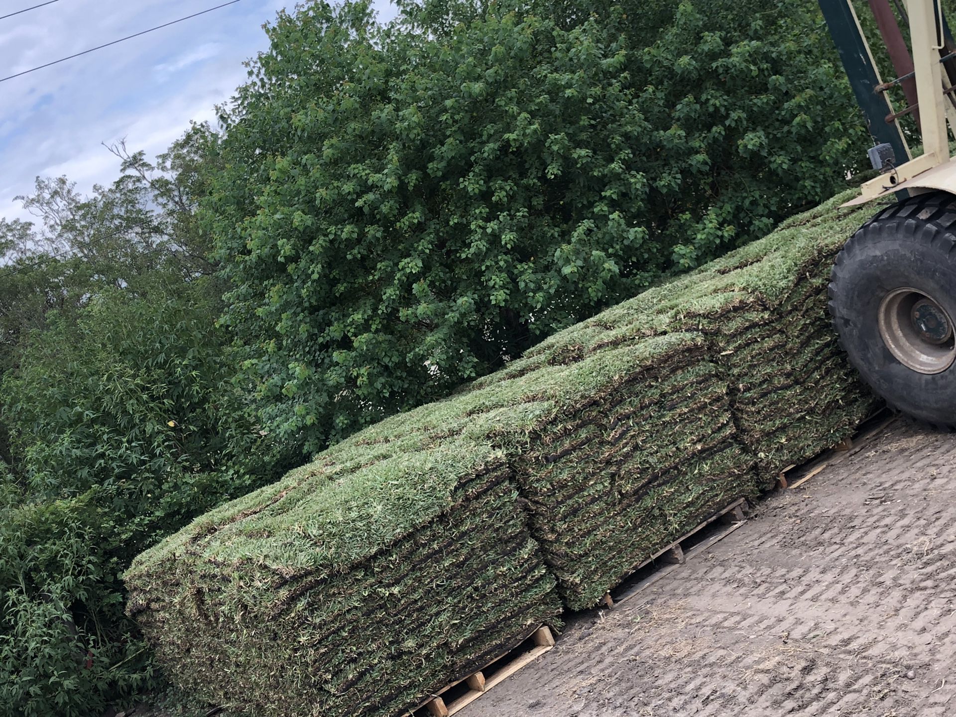 Grass pallets (Free Delivery)