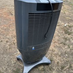 Fan 