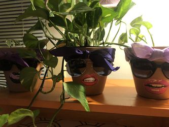 Playful Pots Perfect For Your Plant Babies 