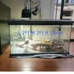 Aquarium 