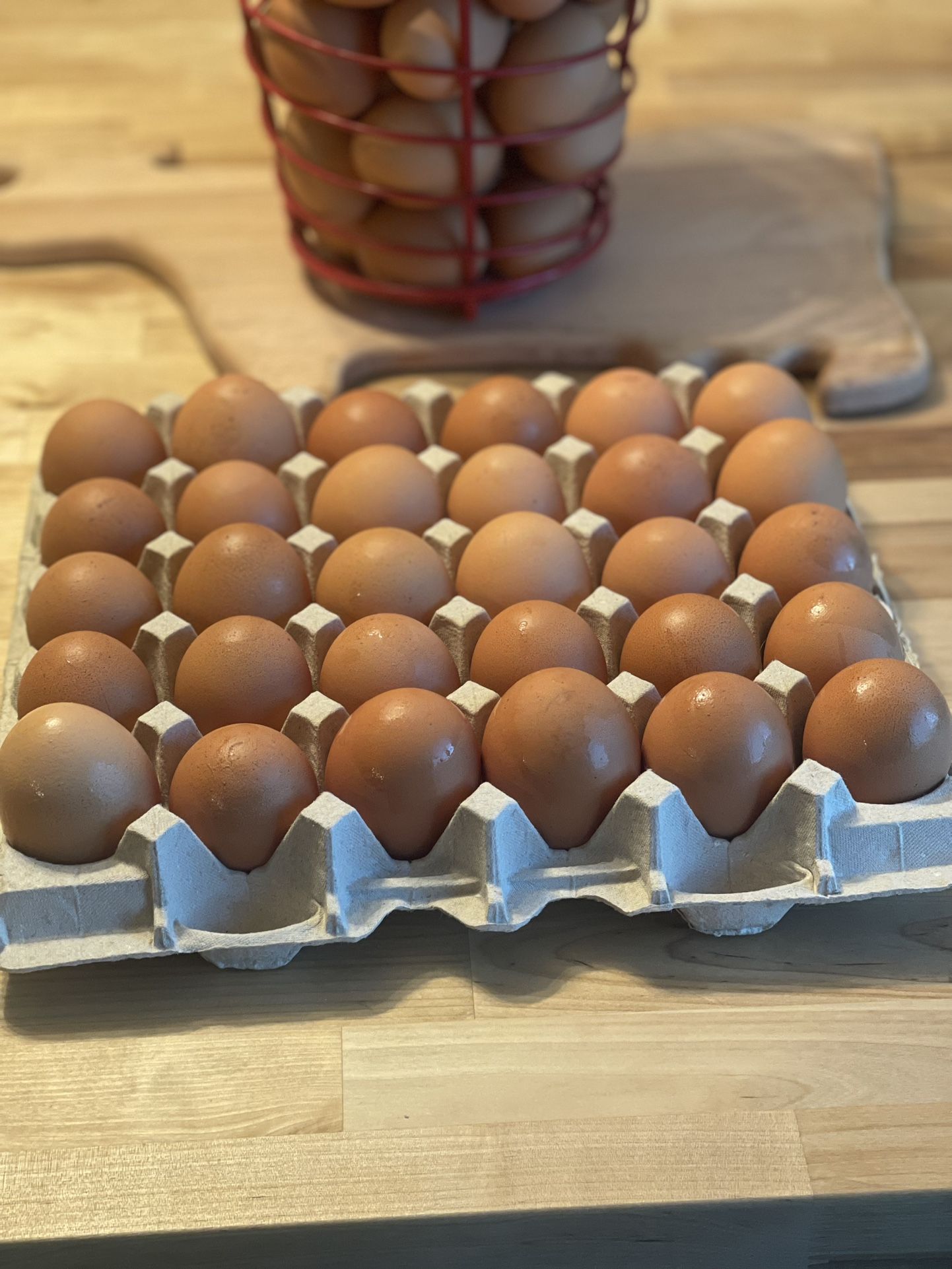 Fresh Eggs